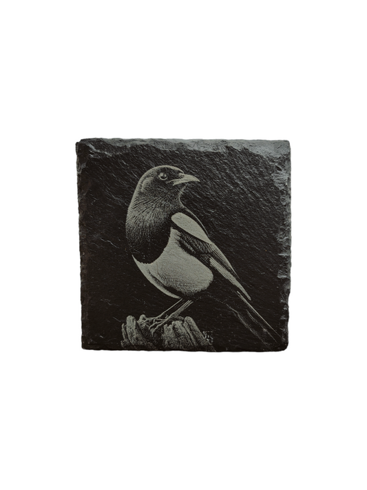 Magpie slate coaster