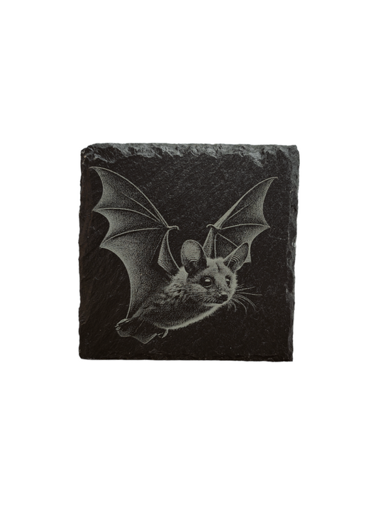 Bat slate coaster