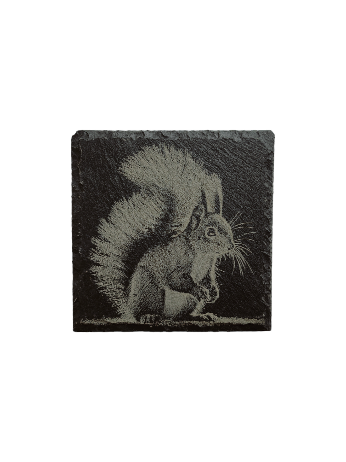 Squirrel slate coaster